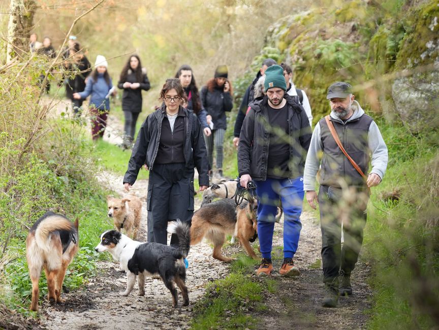 Passeggiata di gruppo nel verde