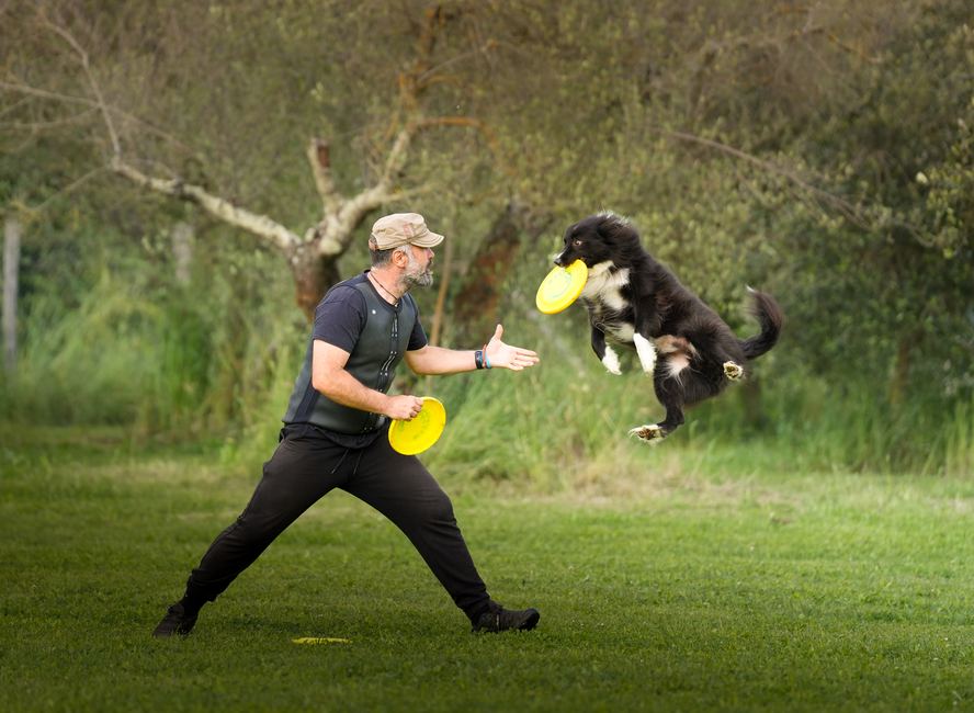 Presa del frisbee in scatto