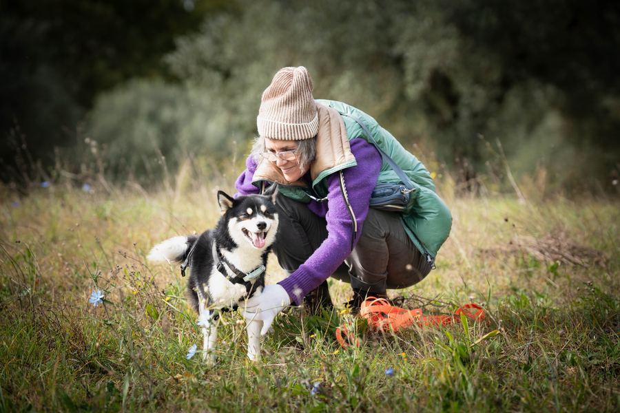 Cani in libertà nei 30 ettari